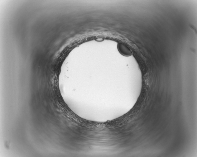 X0000100211495200806271652
