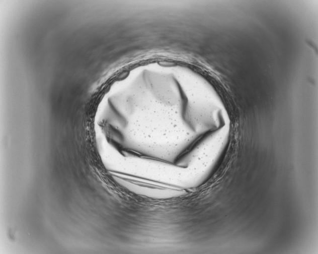X0000100211496200806271652
