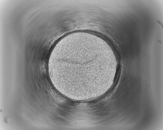 X0000100211497200806271652