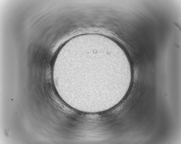 X0000100211498200806271652