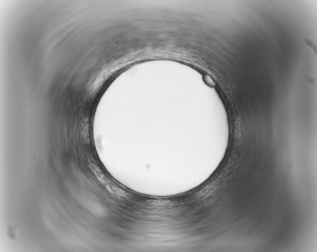 X0000100211499200806271652