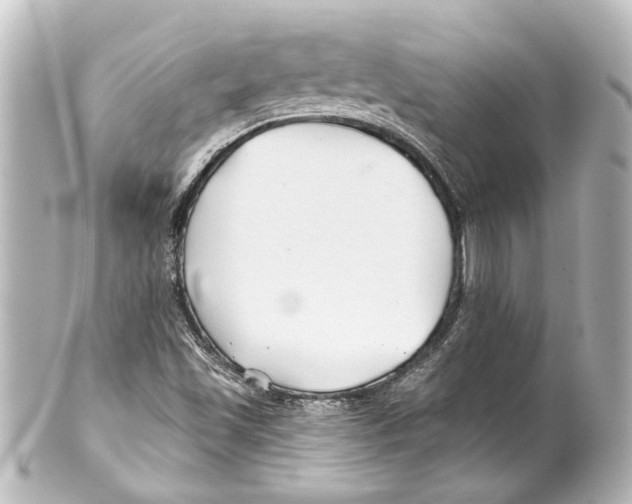 X0000100211501200806271652