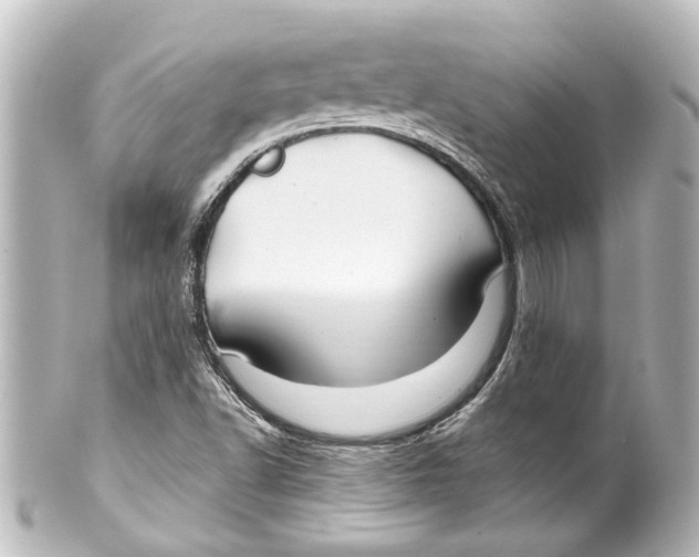 X0000100211502200806271652
