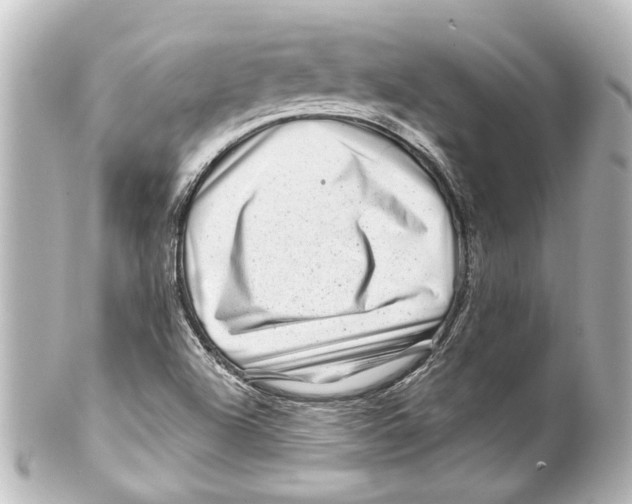 X0000100211504200806271652