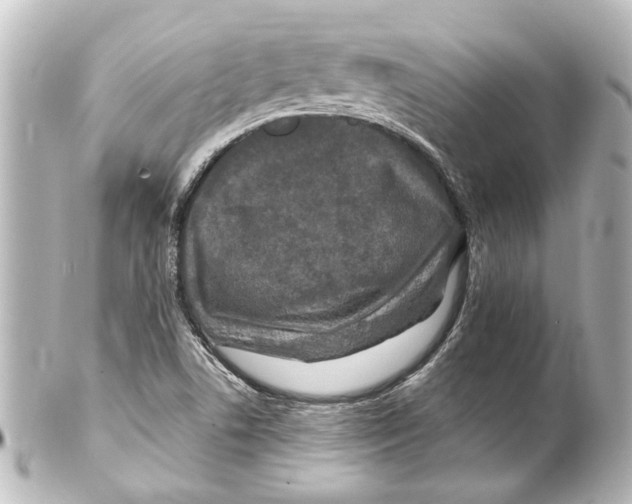 X0000100211506200806271652