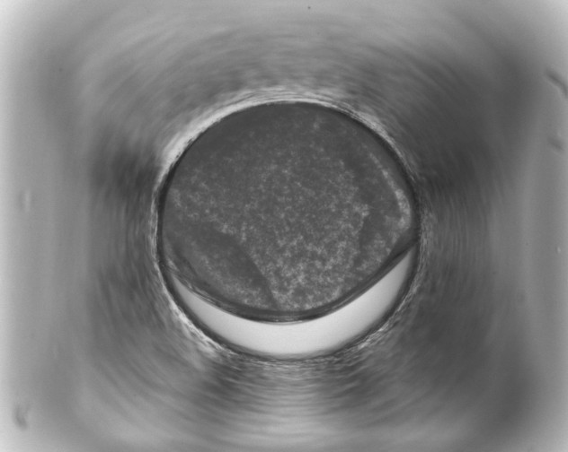 X0000100211508200806271652
