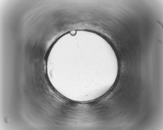 X0000100211509200806271652