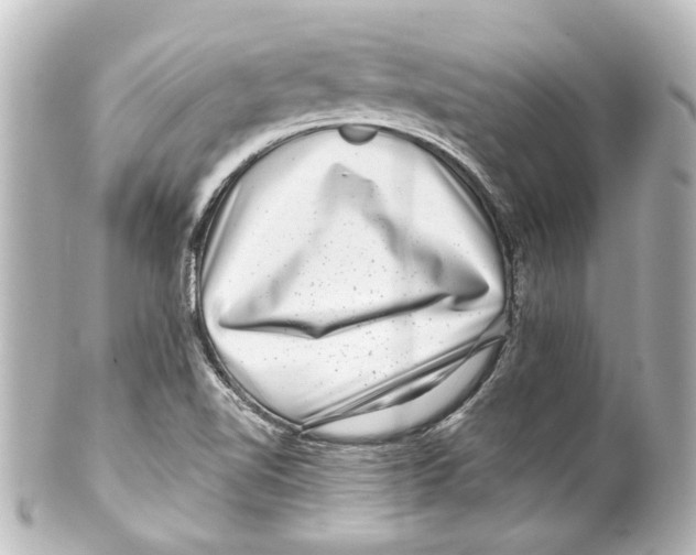 X0000100211510200806271652