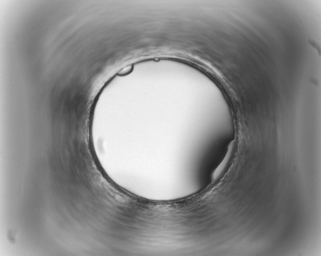 X0000100211512200806271652