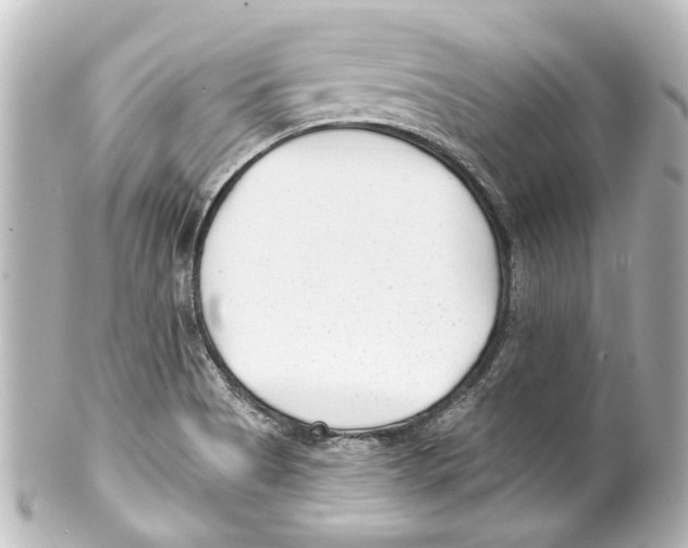 X0000100211513200806271652