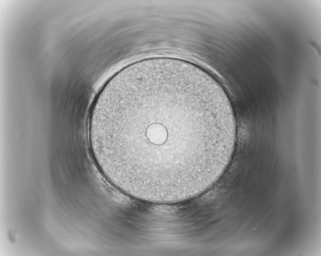 X0000100211514200806271652