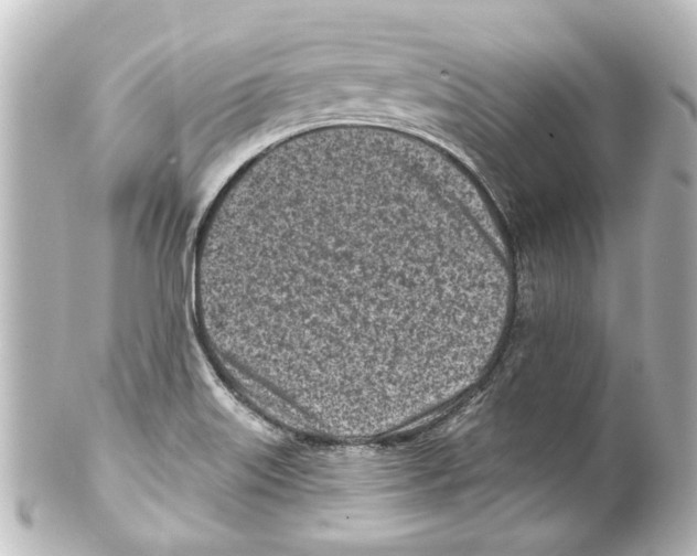 X0000100211515200806271652