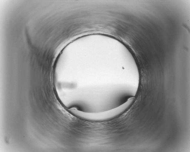 X0000100211516200806271652