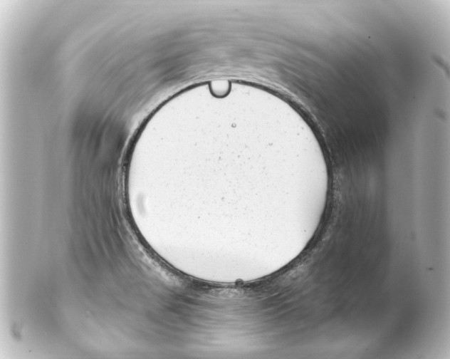X0000100211517200806271652
