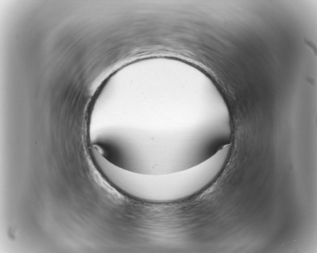 X0000100211518200806271652
