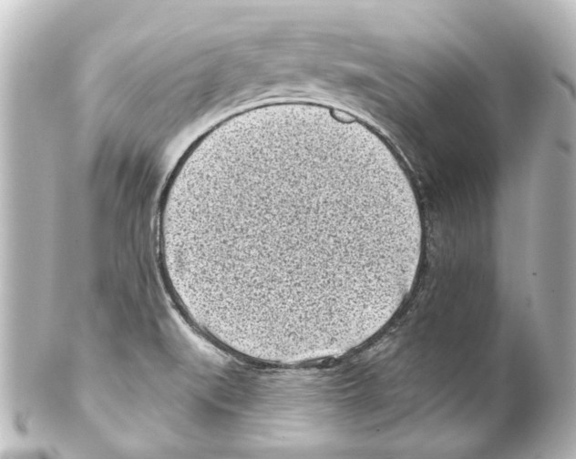 X0000100211519200806271652