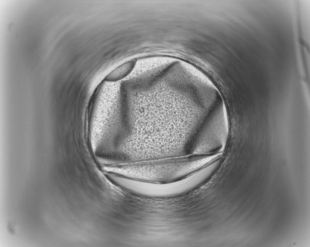 X0000100211520200806271652