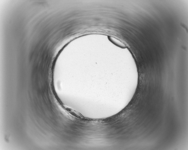 X0000100211523200806271653