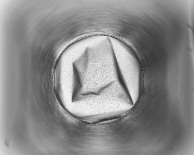 X0000100211524200806271653