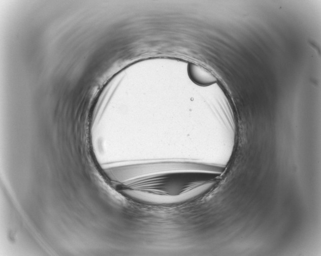 X0000100211525200806271653
