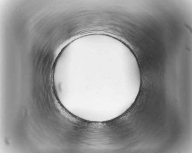 X0000100211526200806271653