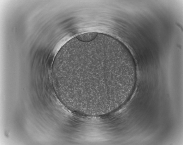 X0000100211529200806271653