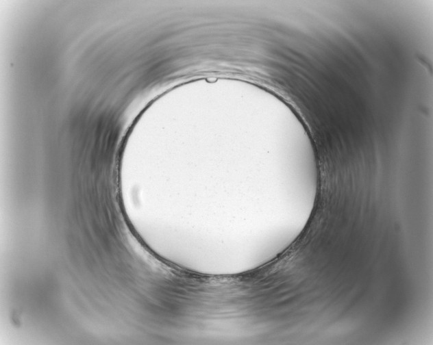 X0000100211531200806271653