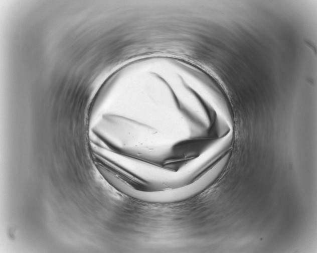 X0000100211532200806271653