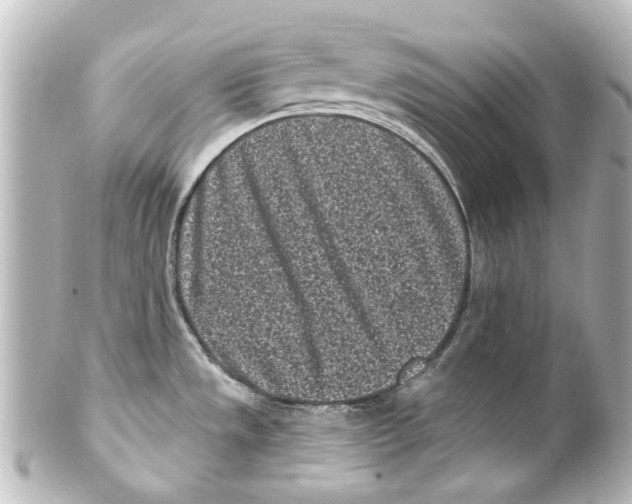 X0000100211533200806271653