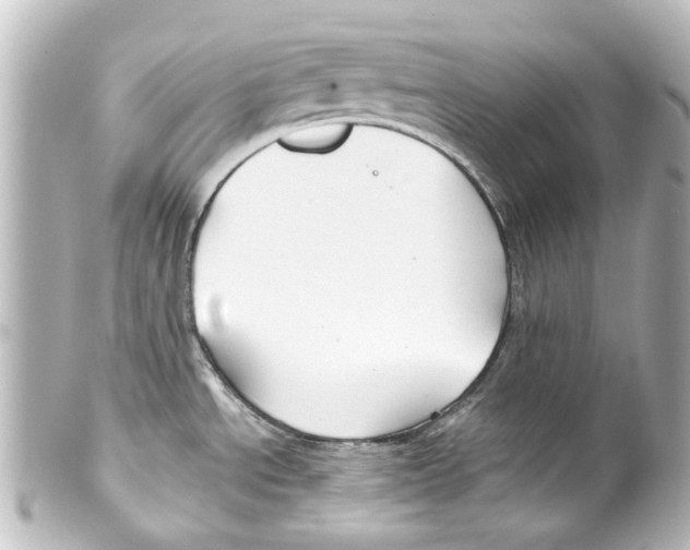 X0000100211534200806271653