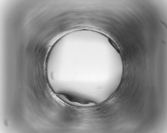 X0000100211535200806271653