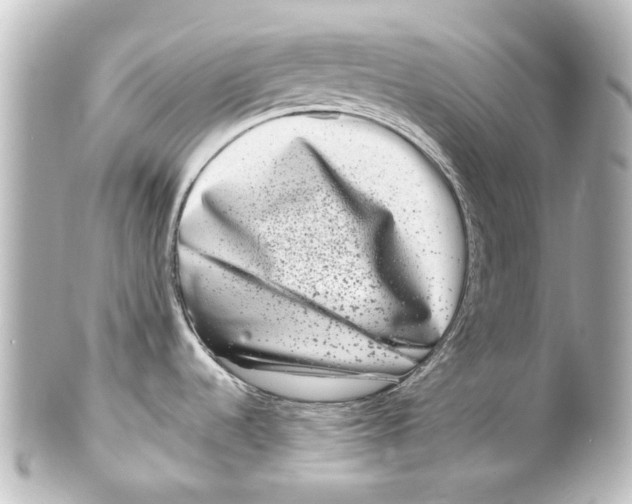 X0000100211536200806271653