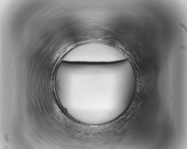 X0000100220002200805300757