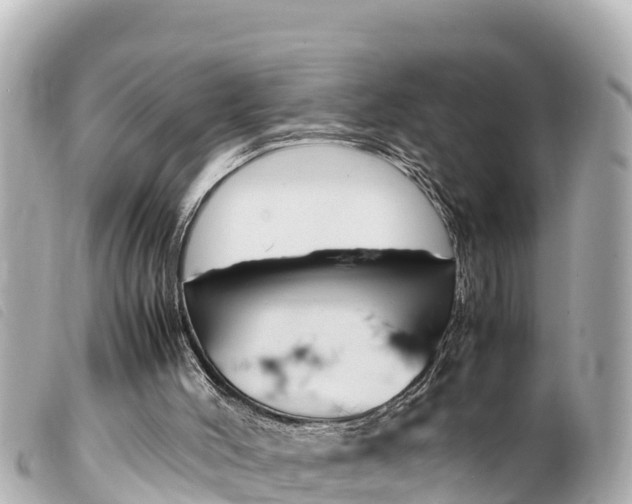 X0000100220004200805300757