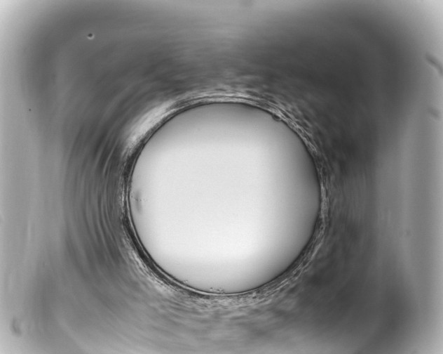 X0000100220005200805300757