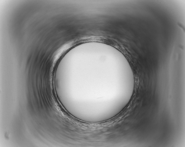 X0000100220006200805300757