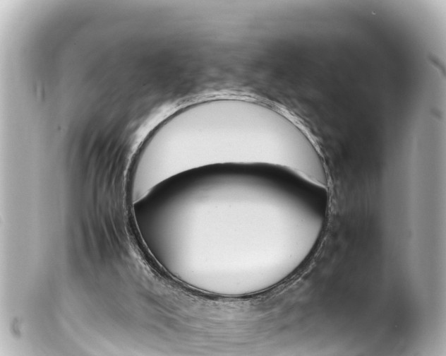 X0000100220008200805300757