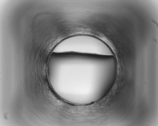 X0000100220009200805300757