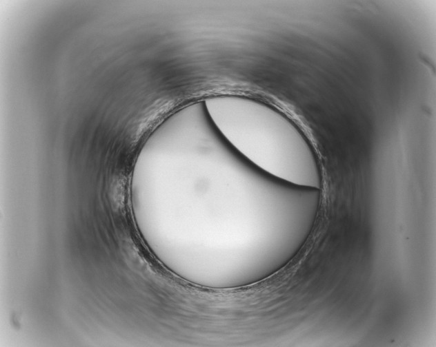 X0000100220010200805300757