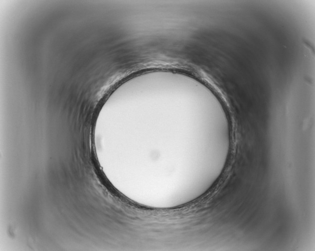 X0000100220011200805300757