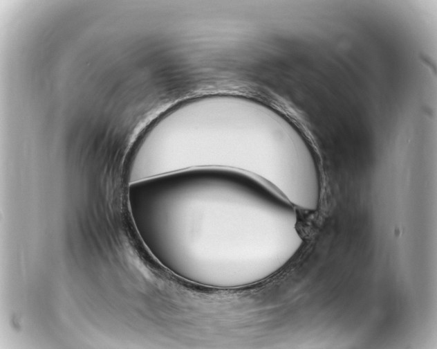 X0000100220012200805300757