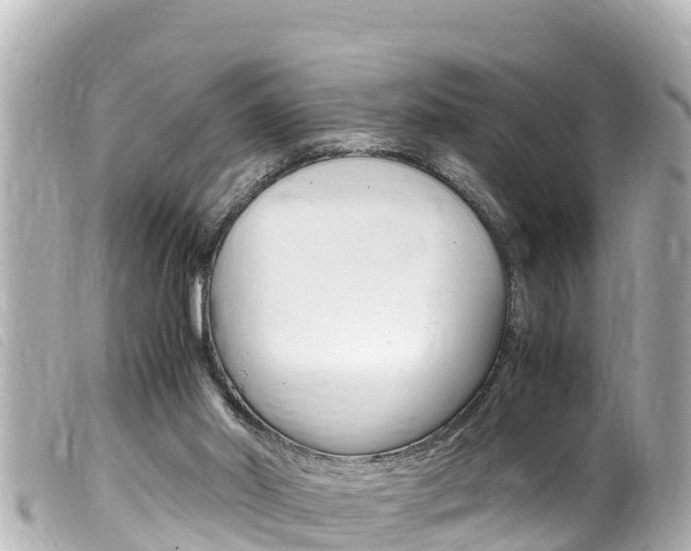 X0000100220014200805300757
