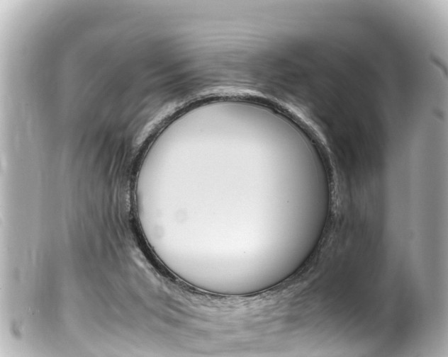 X0000100220015200805300757