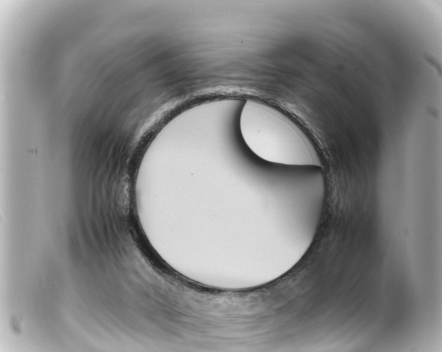 X0000100220016200805300757