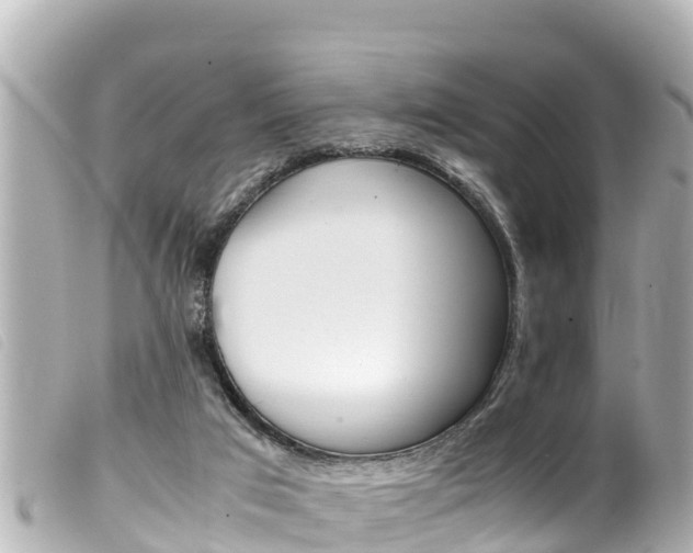 X0000100220017200805300757