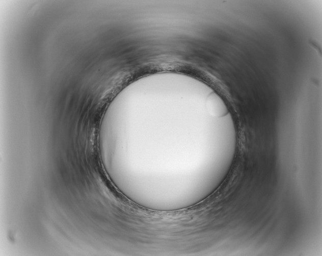 X0000100220018200805300757