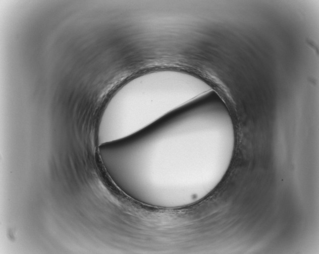 X0000100220020200805300757