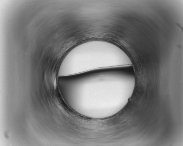 X0000100220028200805300757