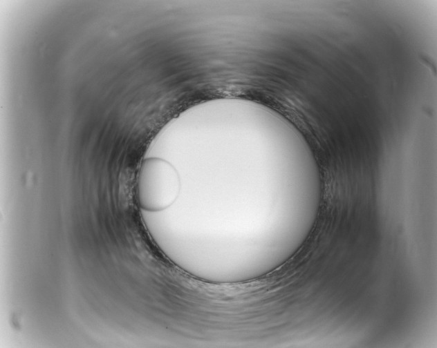 X0000100220030200805300757