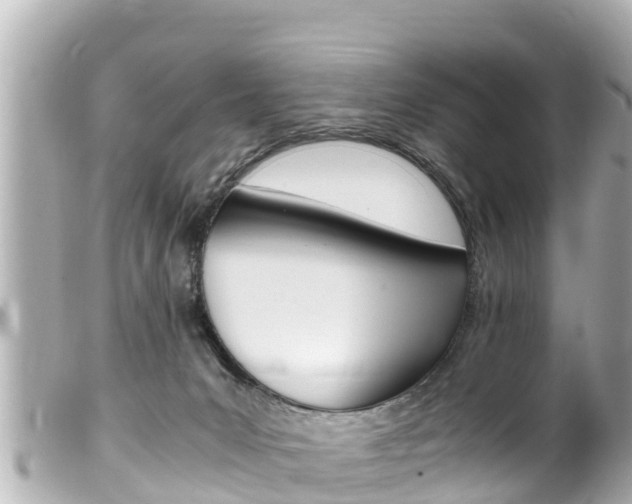 X0000100220031200805300757